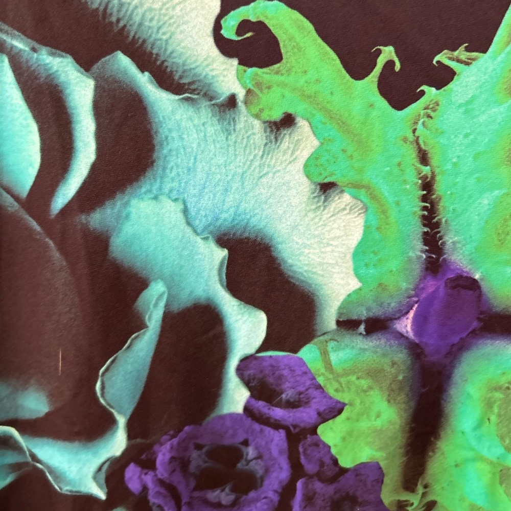 Roberto Cavalli Women's multi Dress - Picture 2 of 7